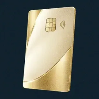 Contactless bank card — Wolf Winner
