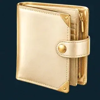 Leather bifold wallet — Wolf Winner